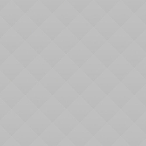 04 Pizza With Chicken, Tomatoes and Basil